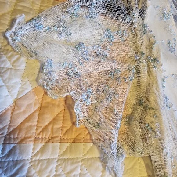 Hopeless Romantic Vintage Dress with Sheer overlay sz M - Picture 4 of 13